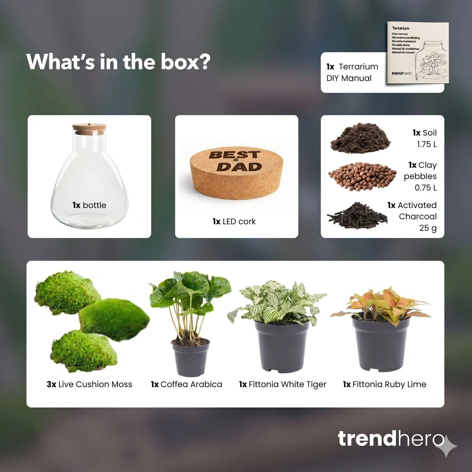 Urbanjungl Sam Vaderdag terrarium DIY kit LED kurk