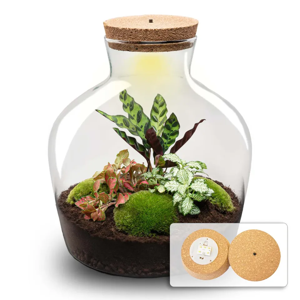 Urbanjungl Fat Joe Red terrarium DIY kit Ø 29 cm met licht