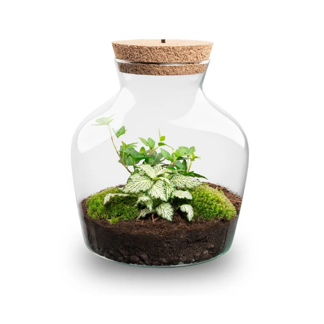 Urbanjungl Little Joe Terrarium met licht Ø20 cm