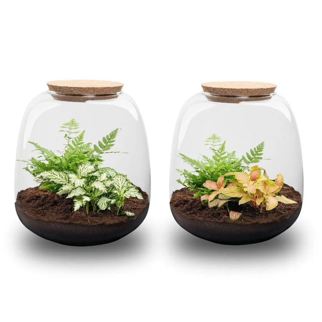 Urbanjungl Emma Mini terrarium DIY kit met kurk Ø19 cm