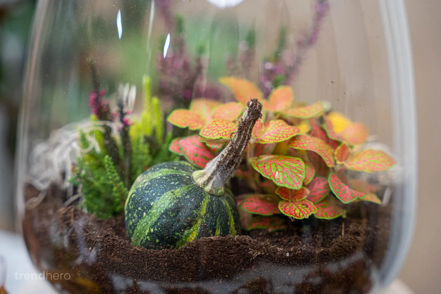 Little Joe Autumn terrarium DIY-kit Ø 20 cm met pompoen