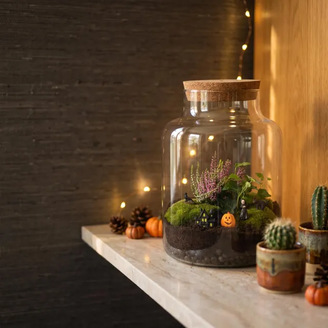Urbanjungl Little Milky Trick or Treat planten terrarium Ø17cm halloween