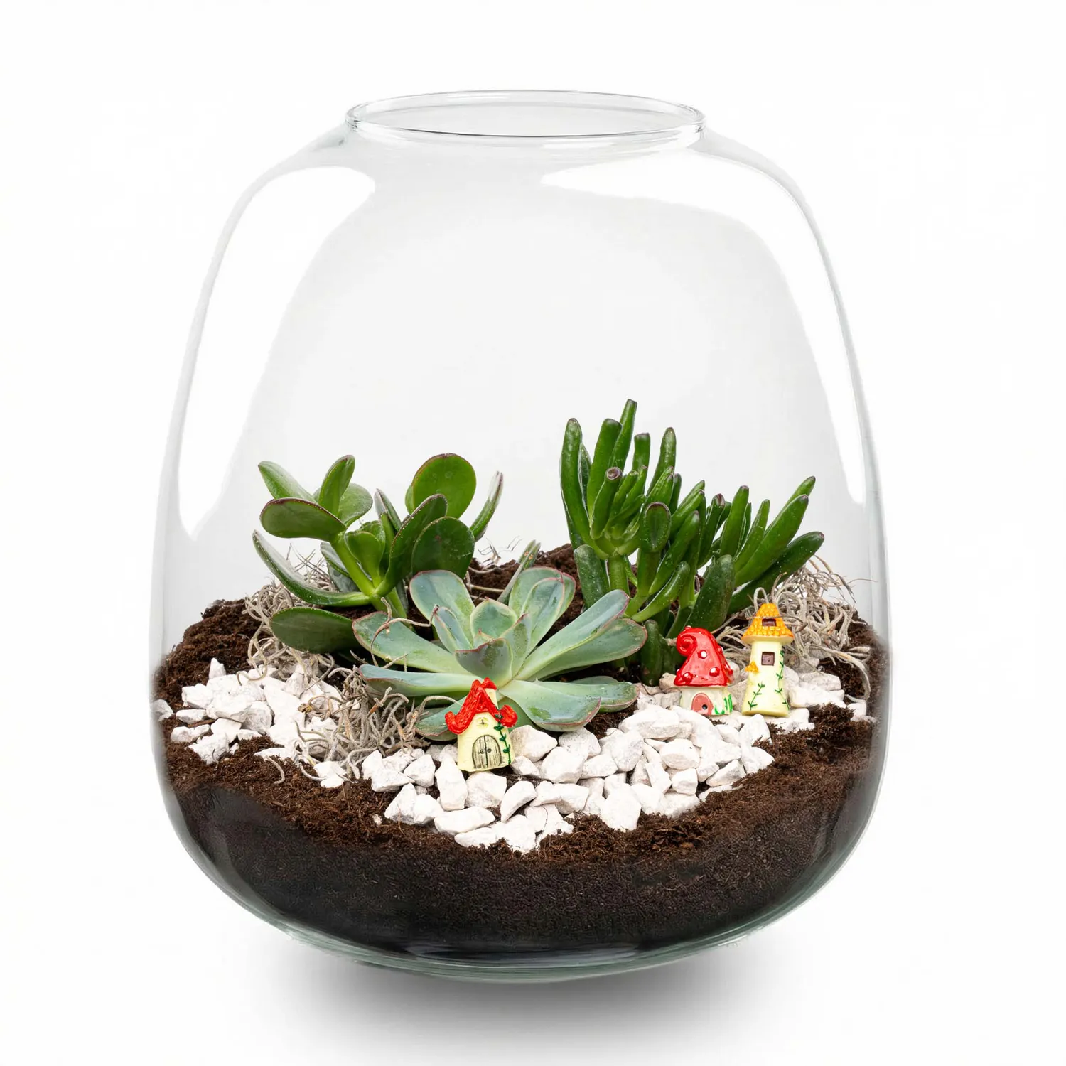 Emma Succulent open terrarium DIY kit Ø23 cm