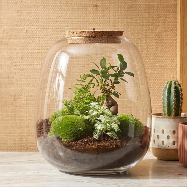 Urbanjungl Emma terrarium DIY kit bonsai white met licht Ø 23 cm