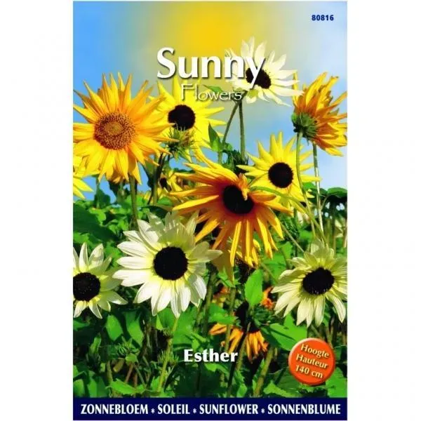 The Natural World Helianthus Esther zonnebloem geel