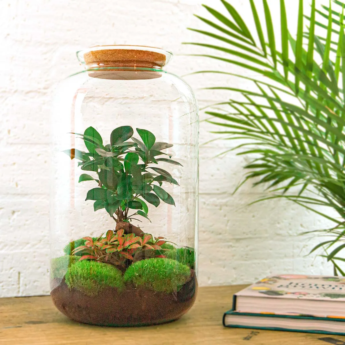 Urbanjungl Sven XL Bonsai terrarium DIY kit Ø 23 cm licht