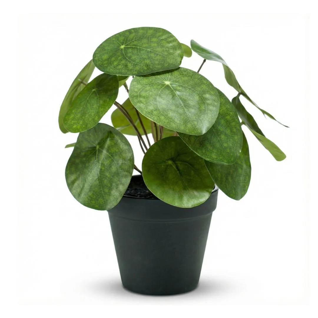 Urbanjungl Pilea Bush 25 cm kunstplant zwarte pot onderhoudsvrij