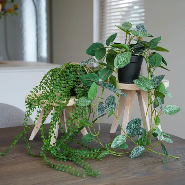 Urbanjungl hangplanten kunst 2 stuks pot met touw