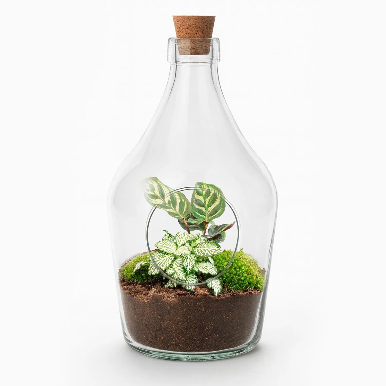 Urbanjungl Joss terrarium open met kurk Ø 16 cm