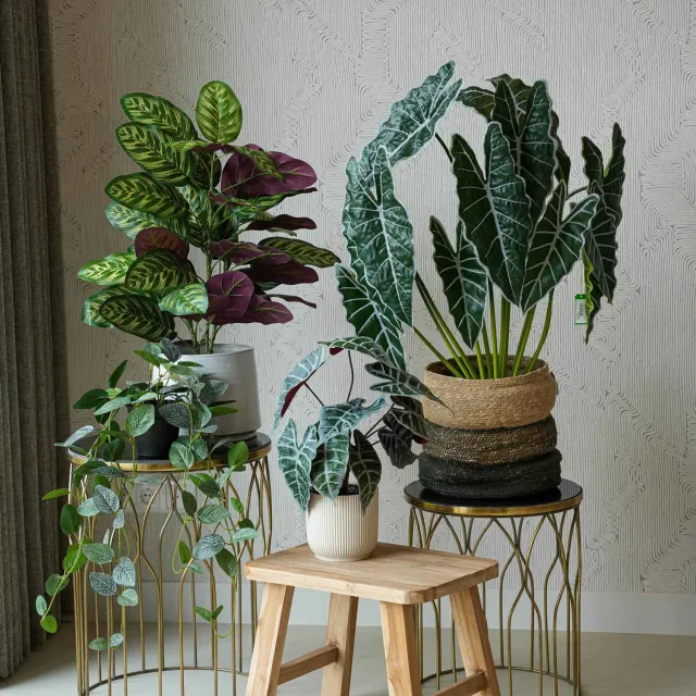 Urbanjungl Costa Rica Kunstplanten Bundelset 4 stuks