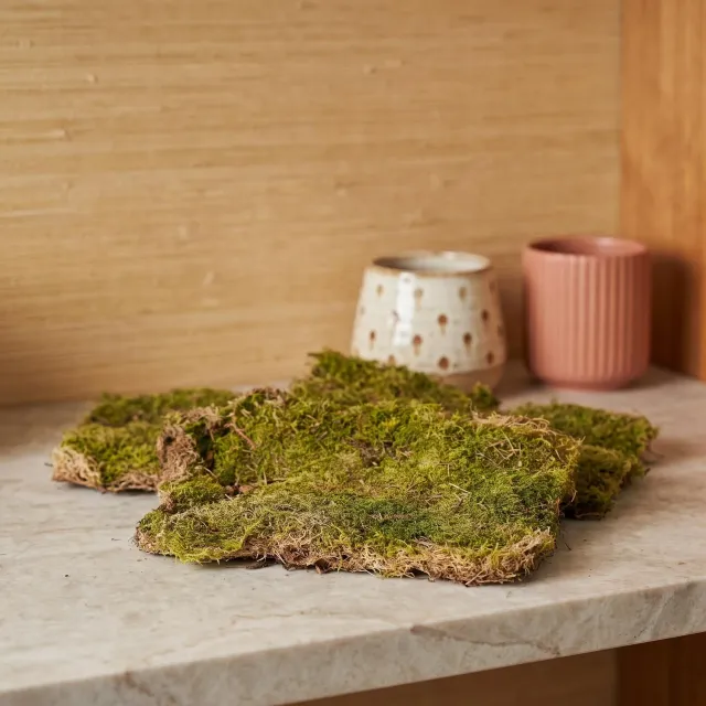 Urbanjungl platmos gedroogd groen 30x20cm 1 doos