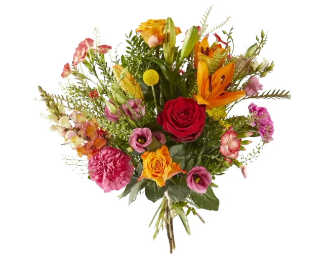 Planten & Zo Bonte kleuren boeket gemengd