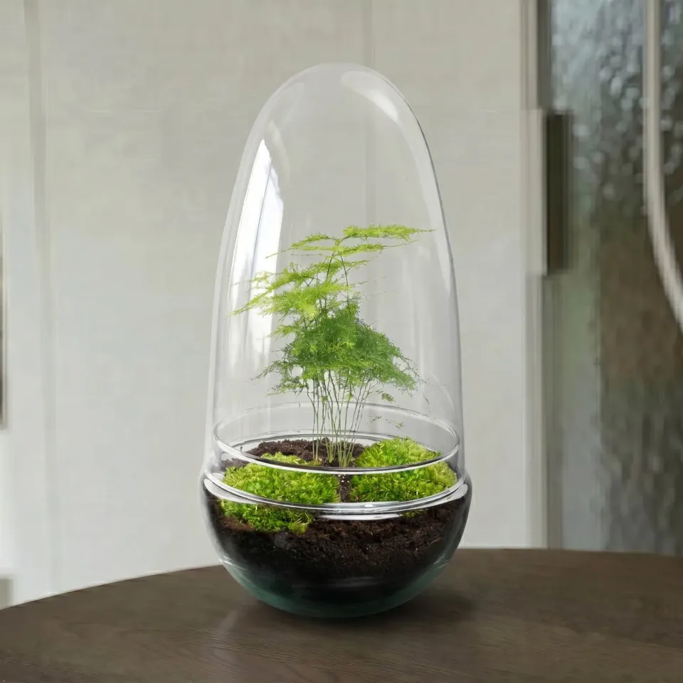 Urbanjungl Egg planten terrarium DIY kit 12x25 cm compleet