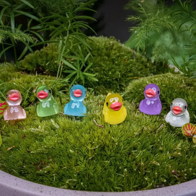 Urbanjungl Glow in the dark ducks mini 2 cm 7 stuks