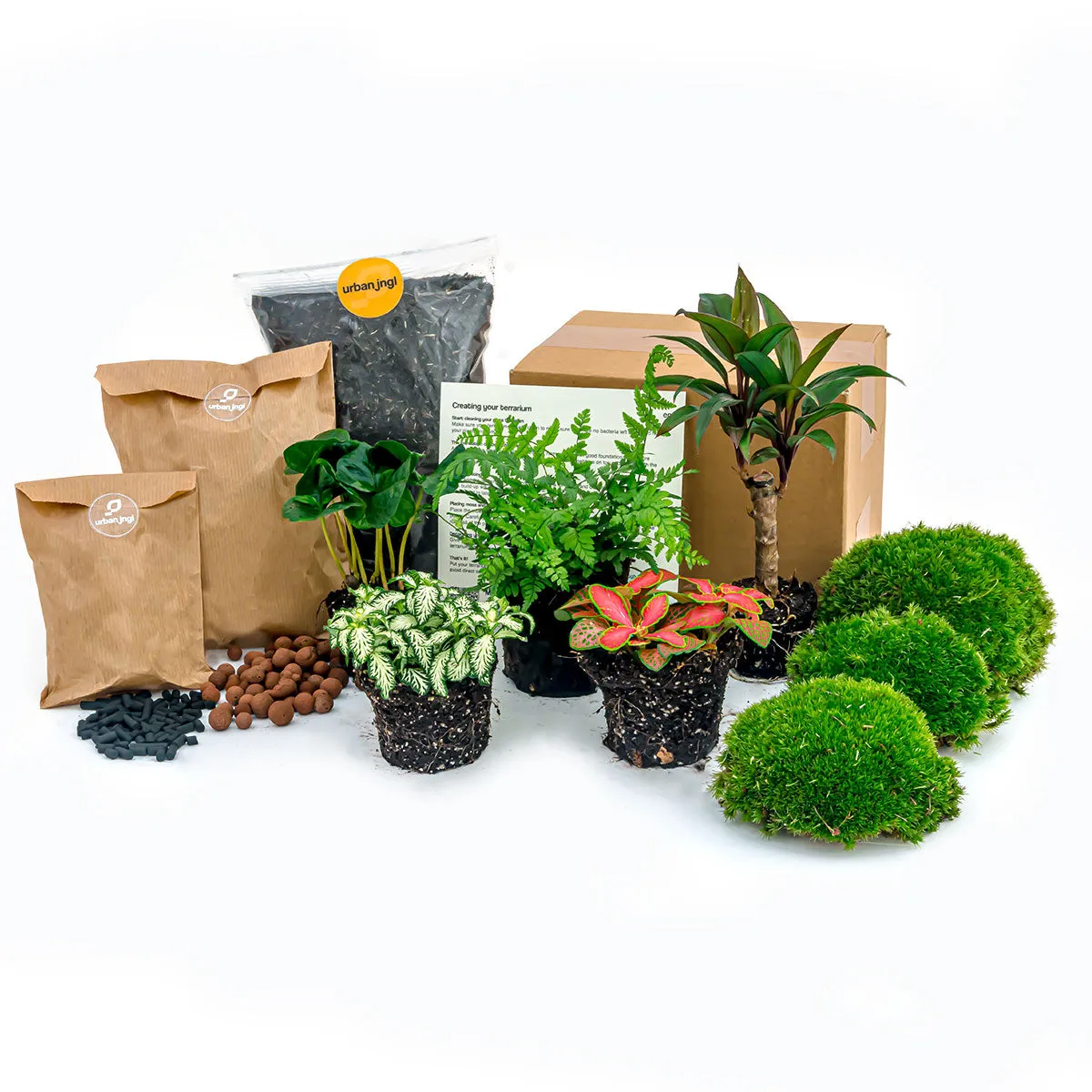 Urbanjungl Jungle 5 terrarium navulpakket 5 planten XL