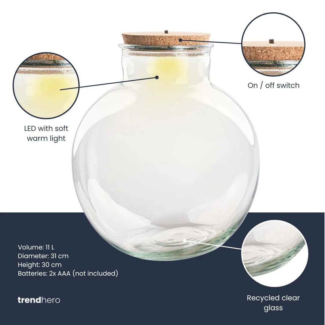 Urbanjungl Teddy terrarium fles Ø25 cm met led-kurk 7L
