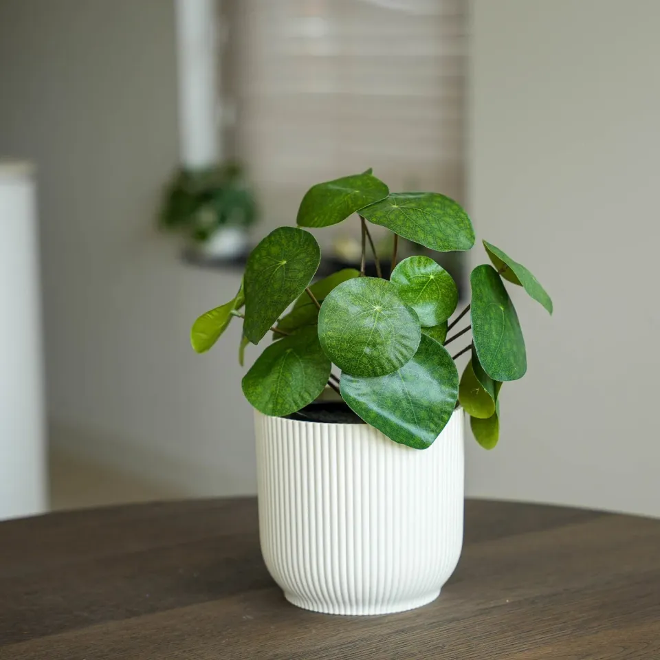 Urbanjungl Pilea Bush 25 cm kunstplant zwarte pot onderhoudsvrij
