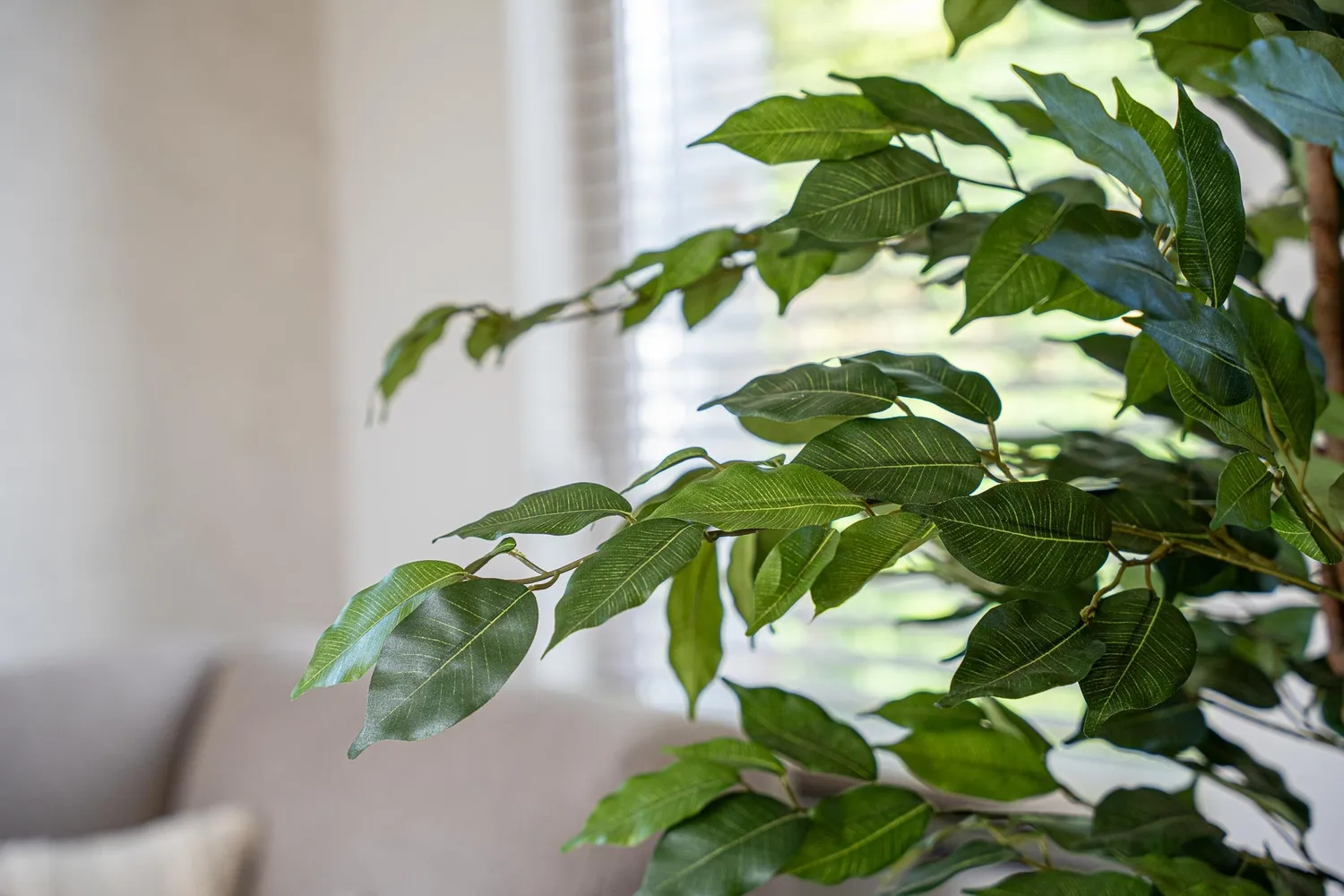 Urbanjungl Ficus Liana kunstboom 140 cm onderhoudsvrij