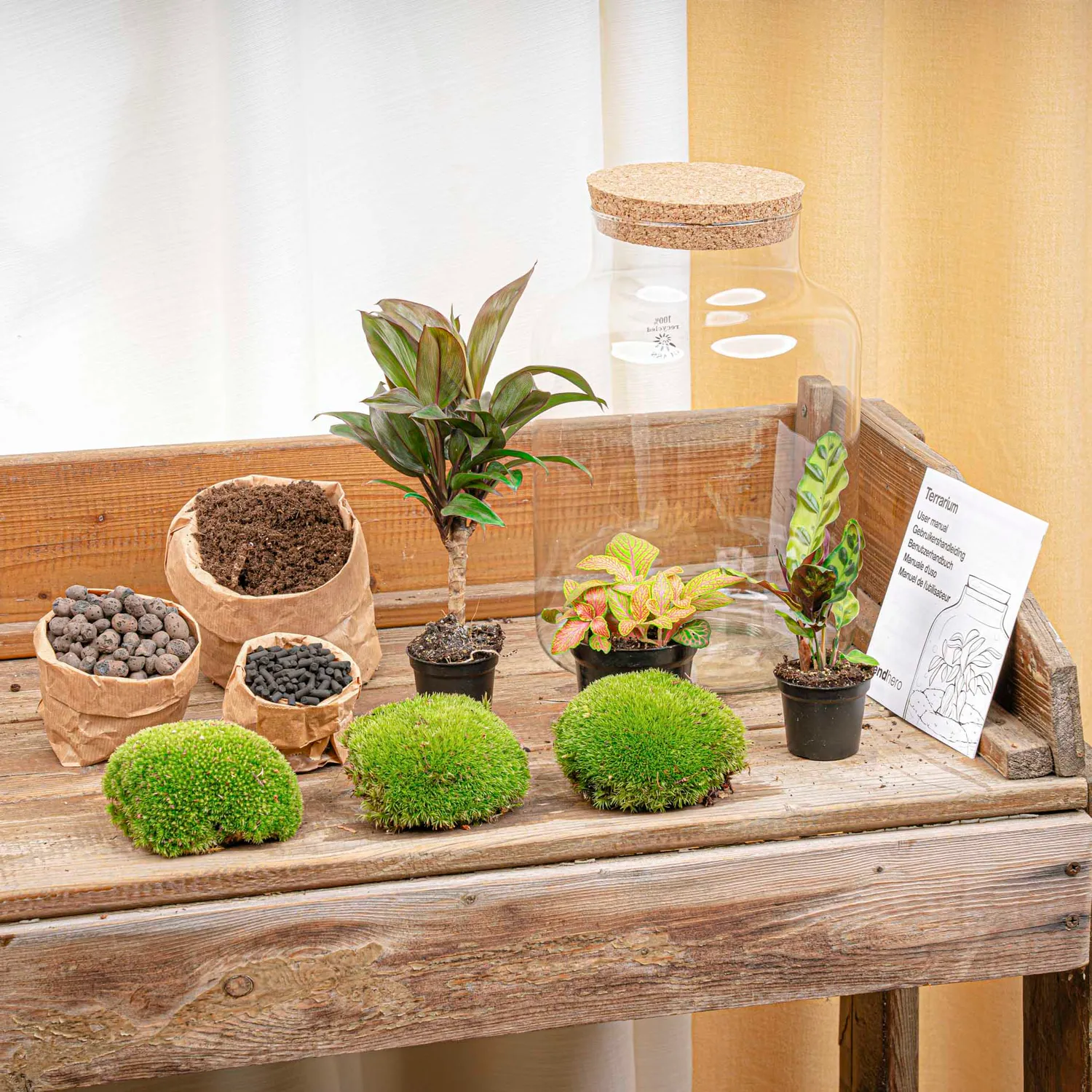 Urbanjungl Milky Palm terrarium DIY kit Ø 21 cm met licht