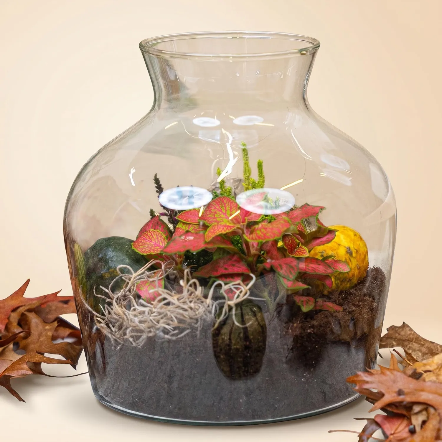 Little Joe Autumn terrarium DIY-kit Ø 20 cm met pompoen
