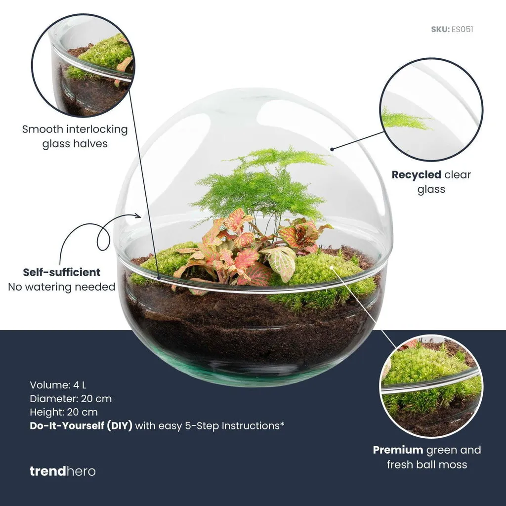 Urbanjungl Dome Rood terrarium DIY kit Ø 20 cm