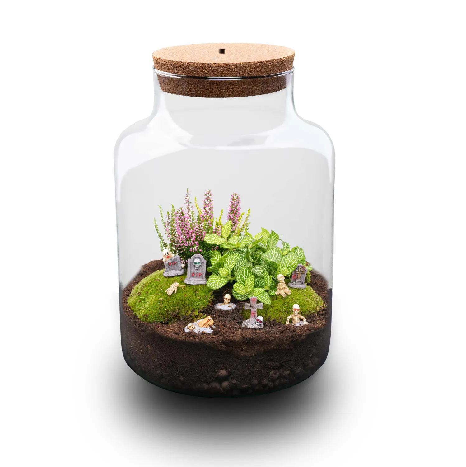 Urbanjungl Milky Haunted Cemetery terrarium DIY pakket Ø 21 cm