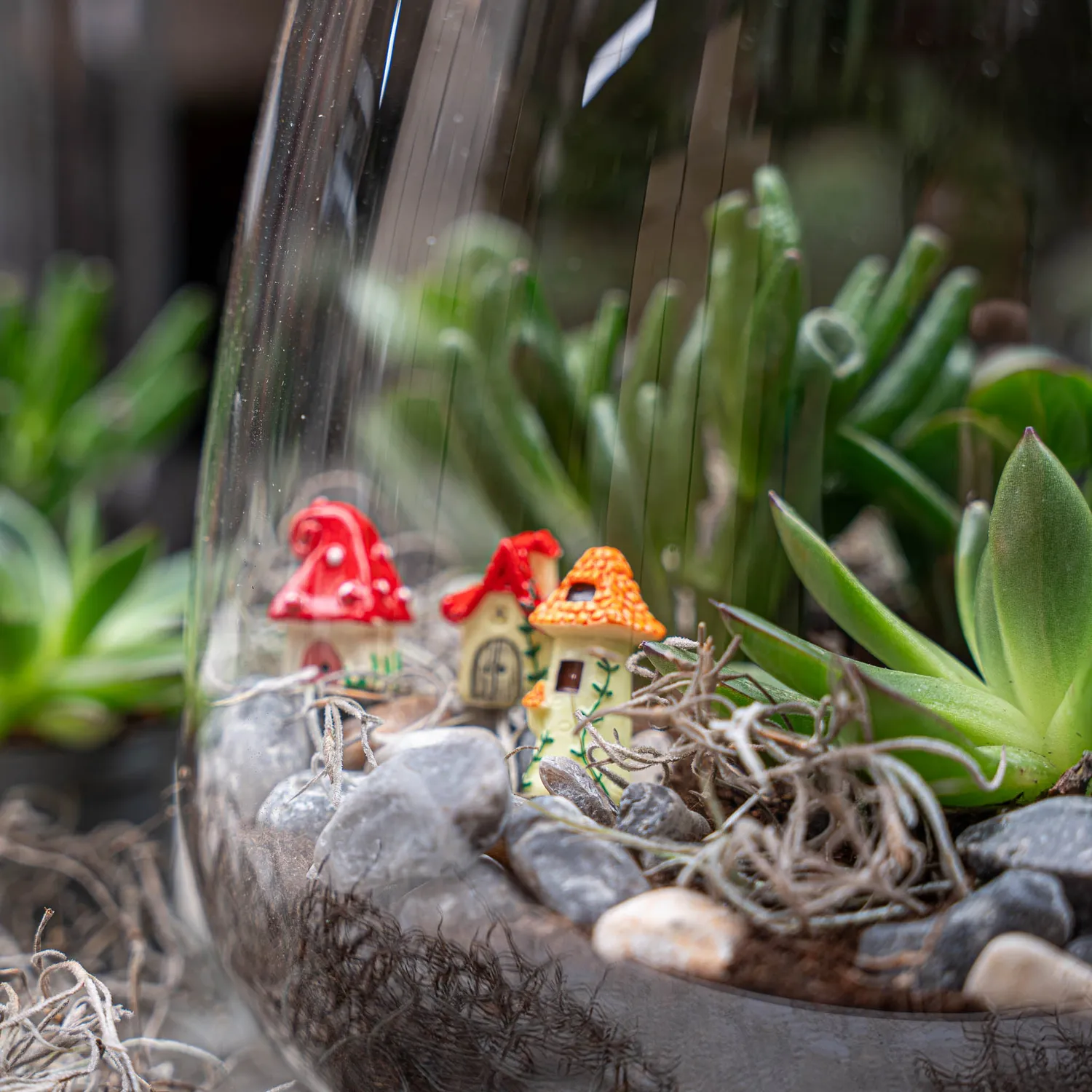 Emma Succulent open terrarium DIY kit Ø23 cm