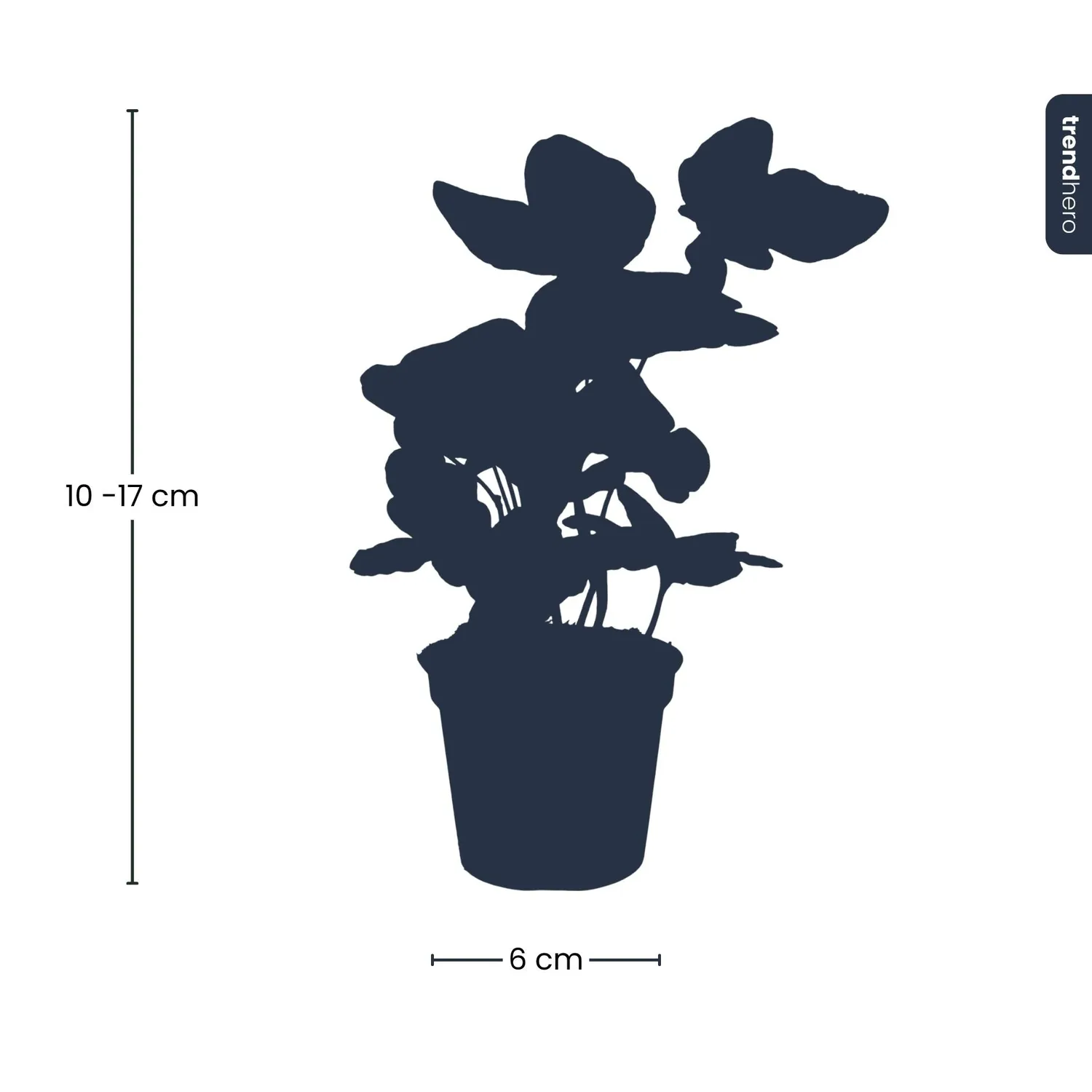 Urbanjungl Hedera helix klimop kamerplant pot 6 mini