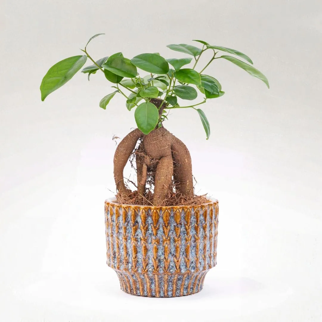 Urbanjungl Echo Rustic Plantenpot Blauw 10 cm