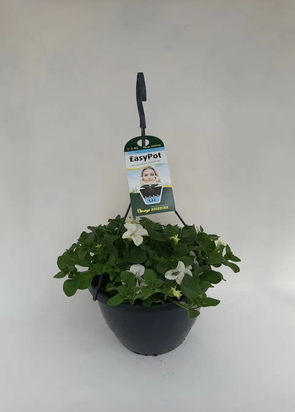 Dekko hangpetunia wit balkonplant hangend