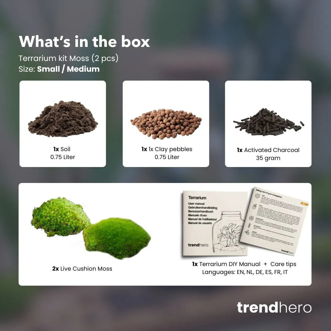 Urbanjungl navulling startpakket S/M terrarium refill