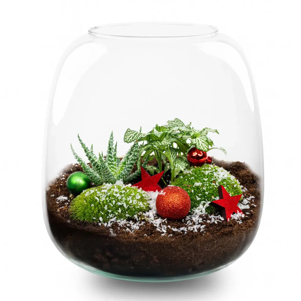 Urbanjungl Berry Christmas terrarium DIY kit Ø 19 cm
