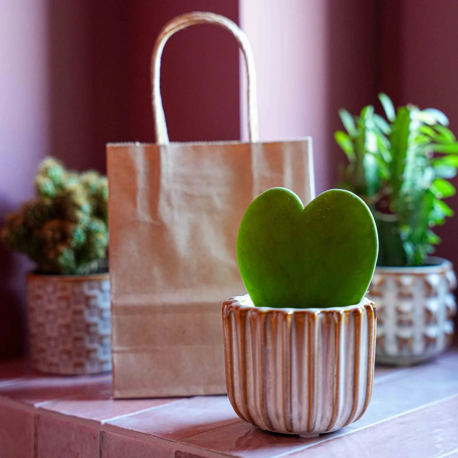 Urbanjungl Love Set cadeauset hartjesplant met pot