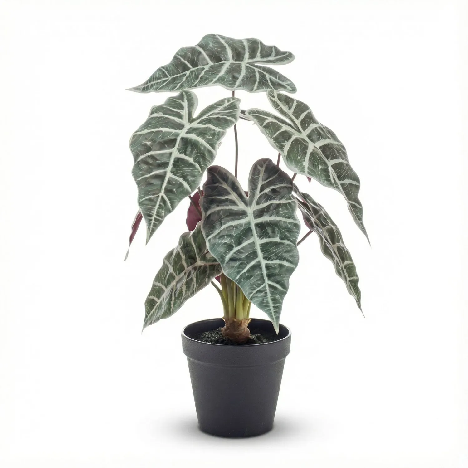Urbanjungl Alocasia Bush kunstplant 40 cm onderhoudsvrij