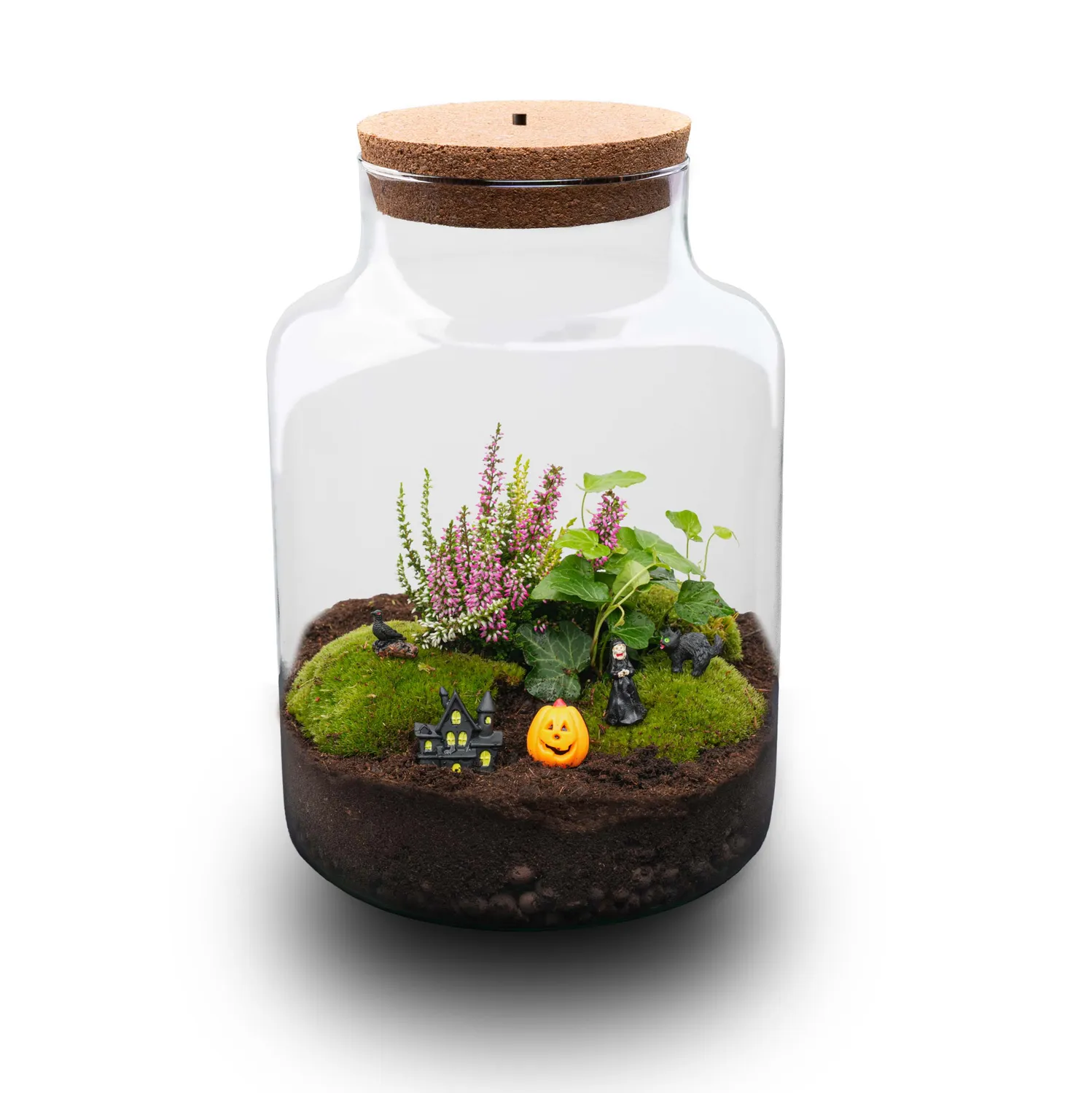 Urbanjungl Milky Trick or Treat Village terrarium Ø 21 cm