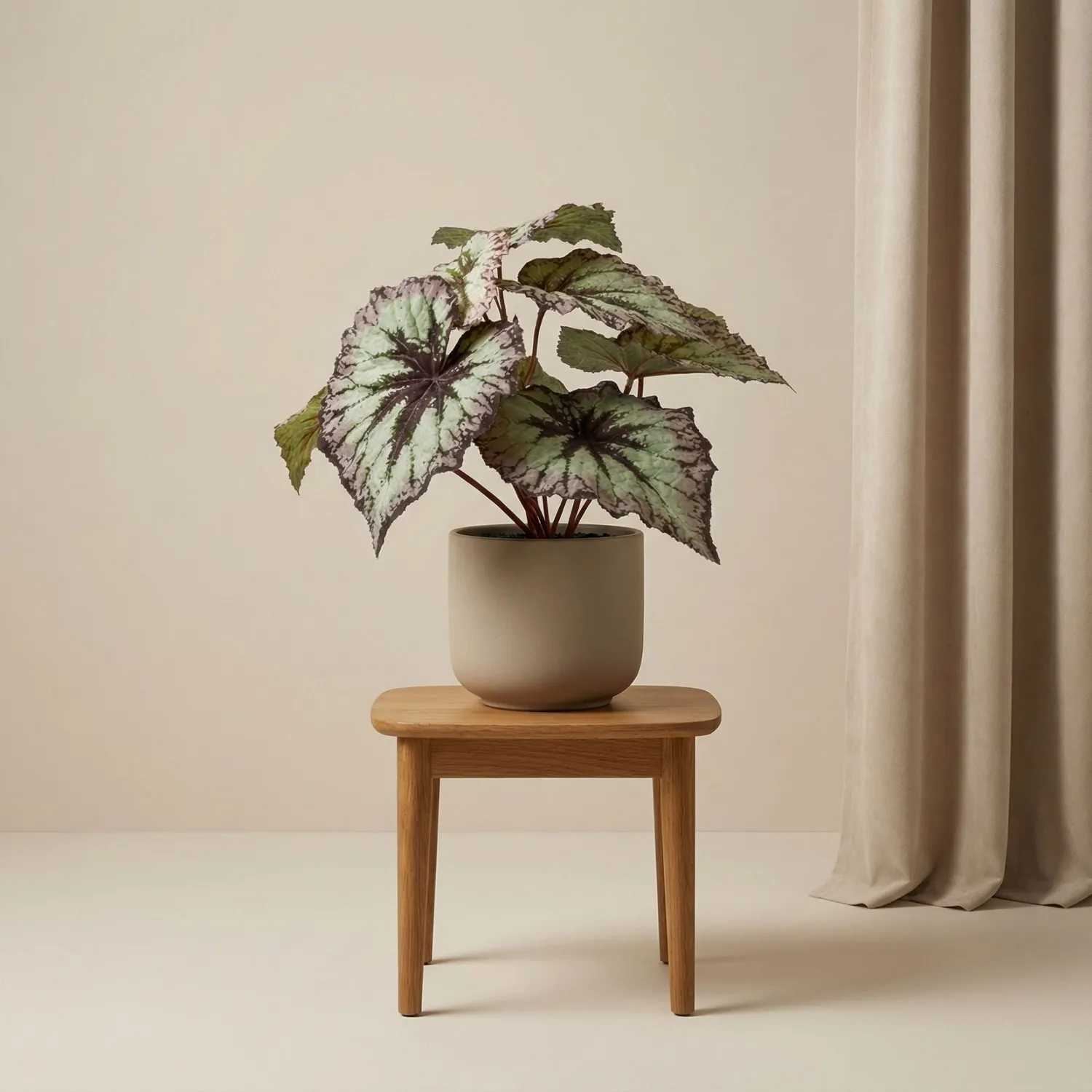 Urbanjungl Begonia 26 cm kunstplant grijs-paars UV balkon