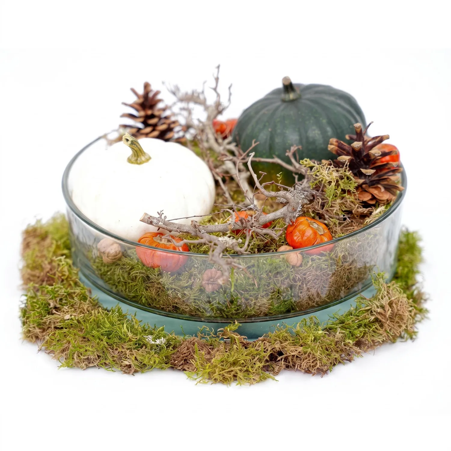 Urbanjungl Herfstschaal Pompoen Groot schaal 2 pompoenen