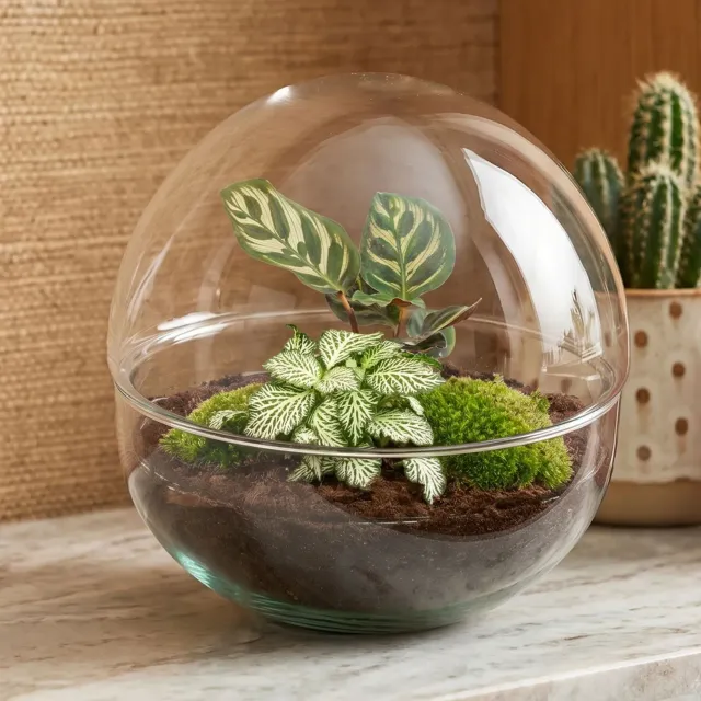 Urbanjungl Dome terrarium DIY kit Ø 20 cm gesloten