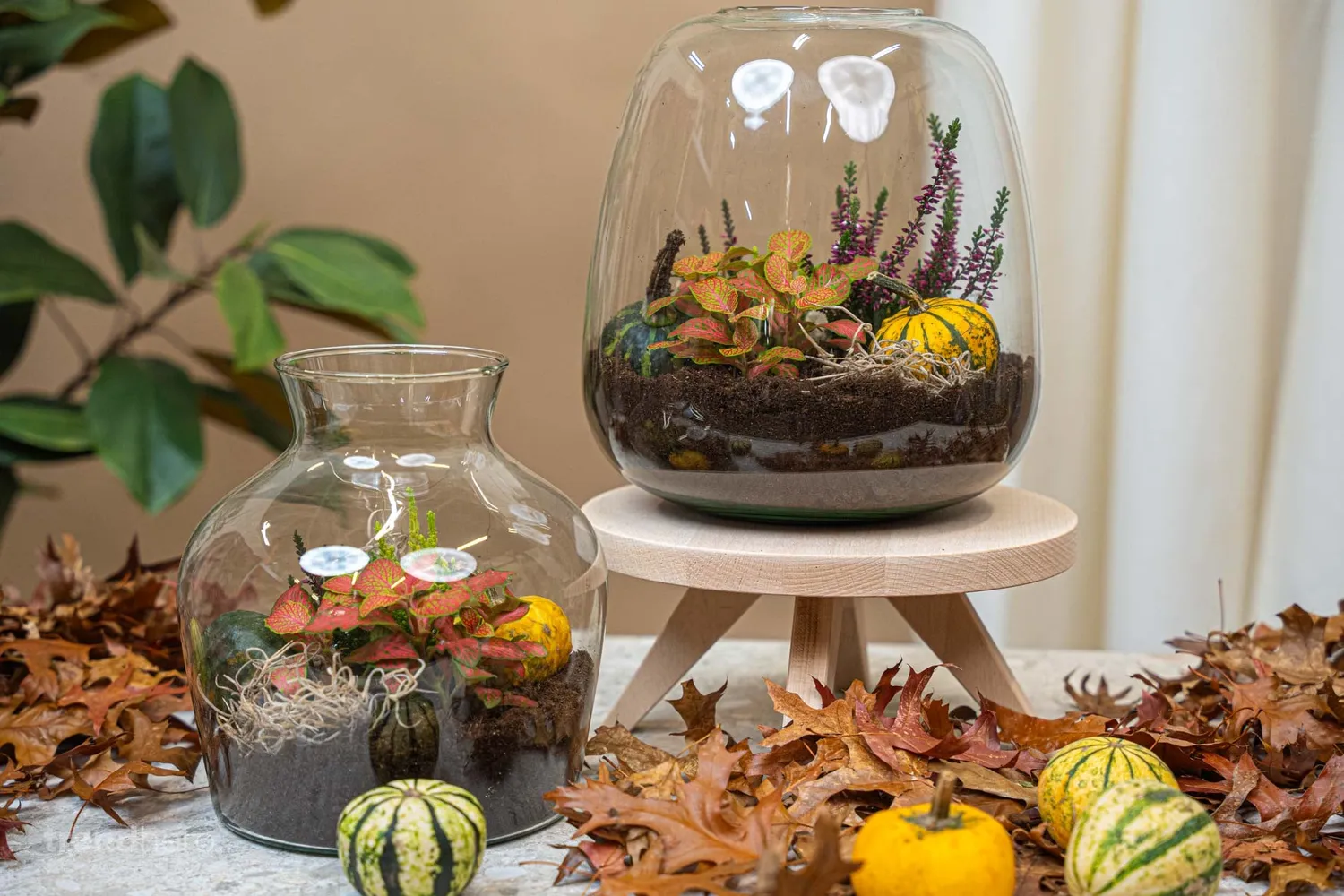 Little Joe Autumn terrarium DIY-kit Ø 20 cm met pompoen