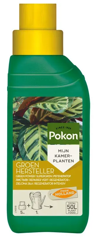 Tuincentrum Heerdink Groenhersteller spray 250 ml bladgroen
