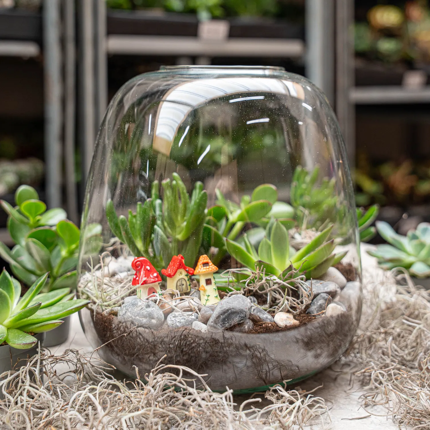Emma Succulent open terrarium DIY kit Ø23 cm