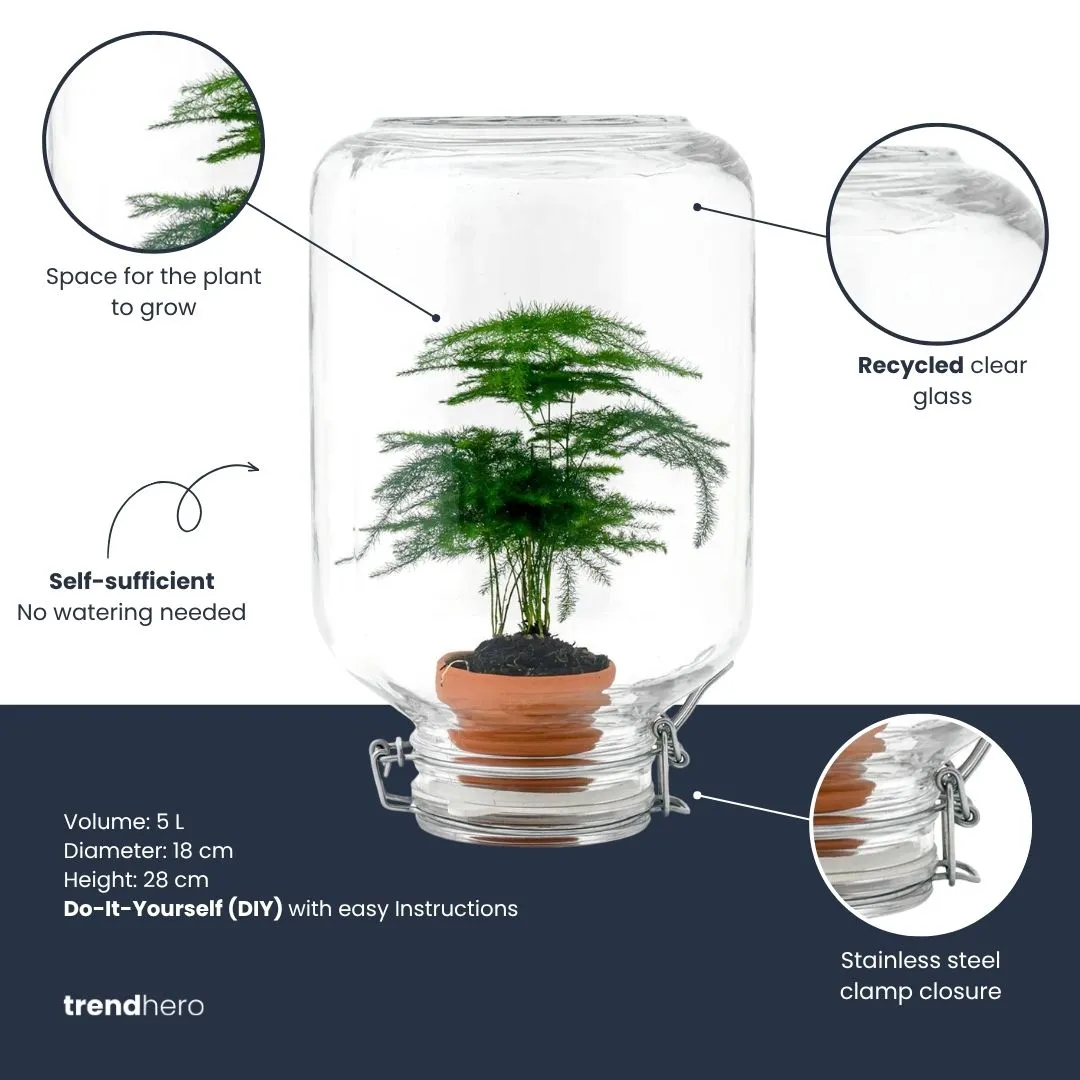 Easyplant Calathea Fido terrarium DIY kit Ø 18 cm ecosysteem