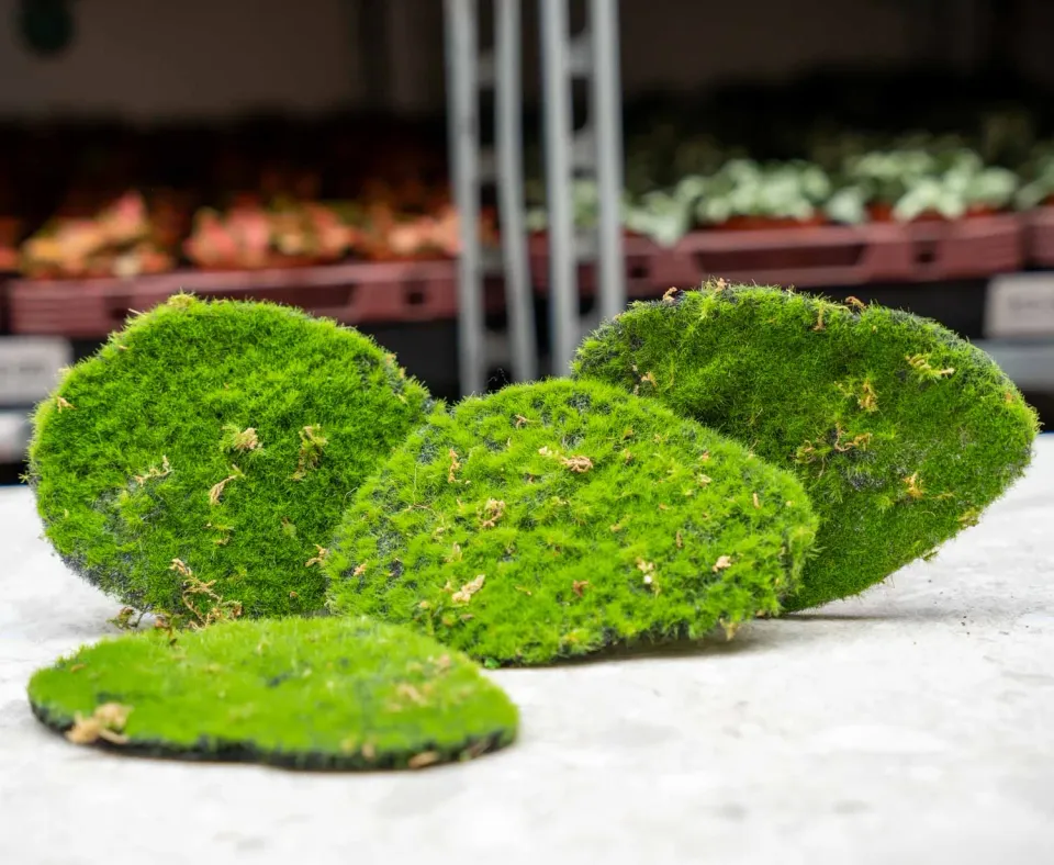 Urbanjungl Kunstmos mosplaat groen set van 4 onderhoudsvrij