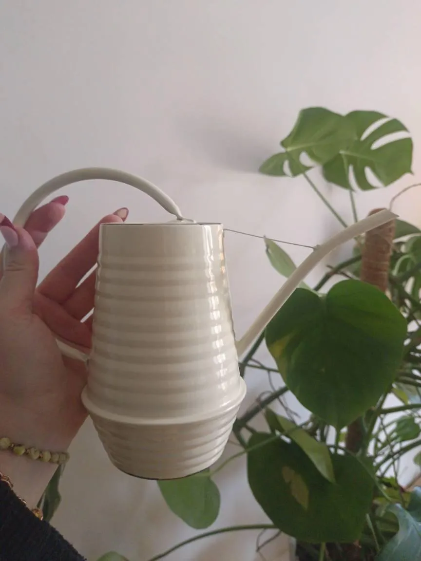 Urbanjungl Zinken Bloemengieter 1 liter Groen slanke tuit