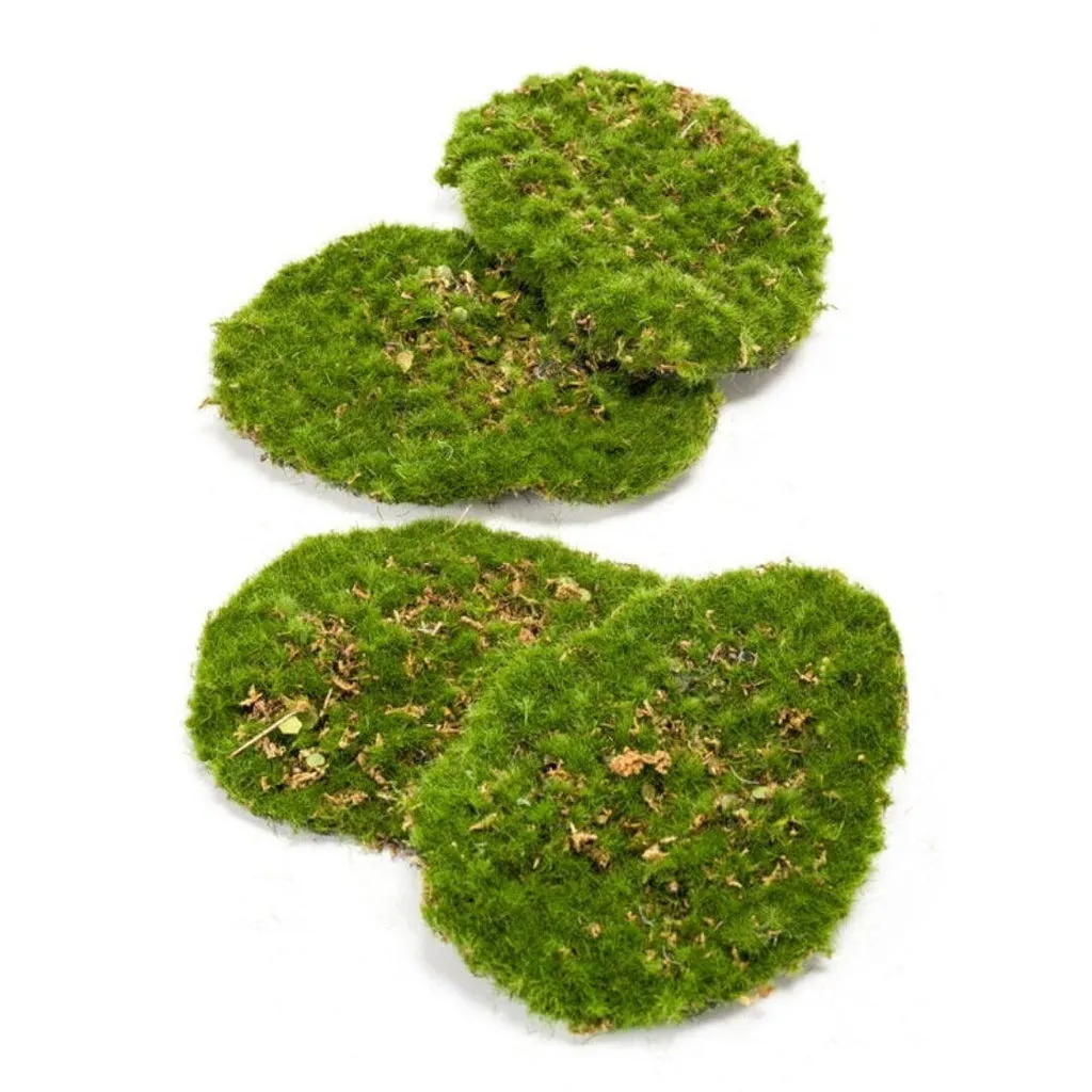 Urbanjungl Kunstmos mosplaat groen set van 4 onderhoudsvrij
