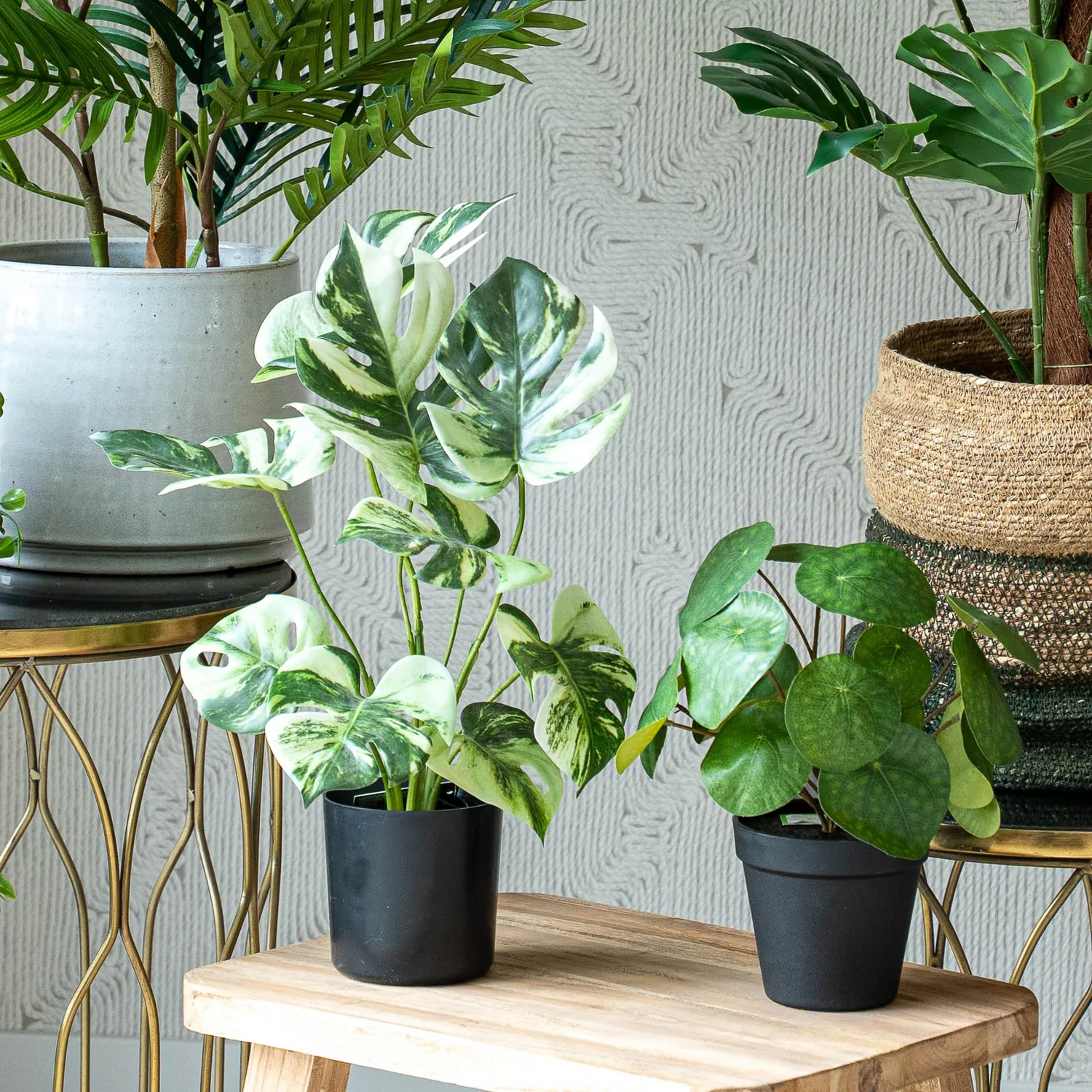 Urbanjungl Urban Jungle L kunstplanten set van 5 mix