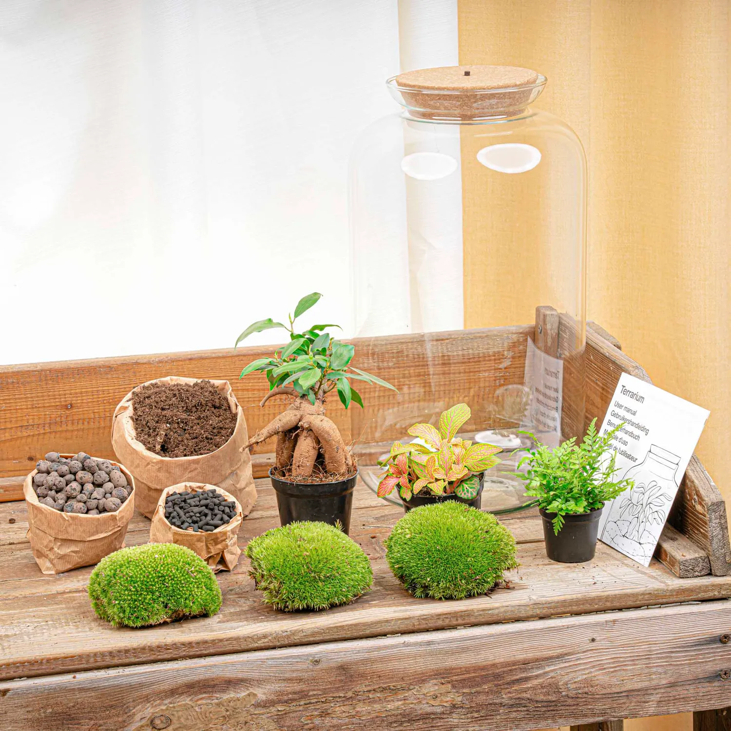 Urbanjungl Sven XL Bonsai terrarium DIY kit Ø 23 cm licht