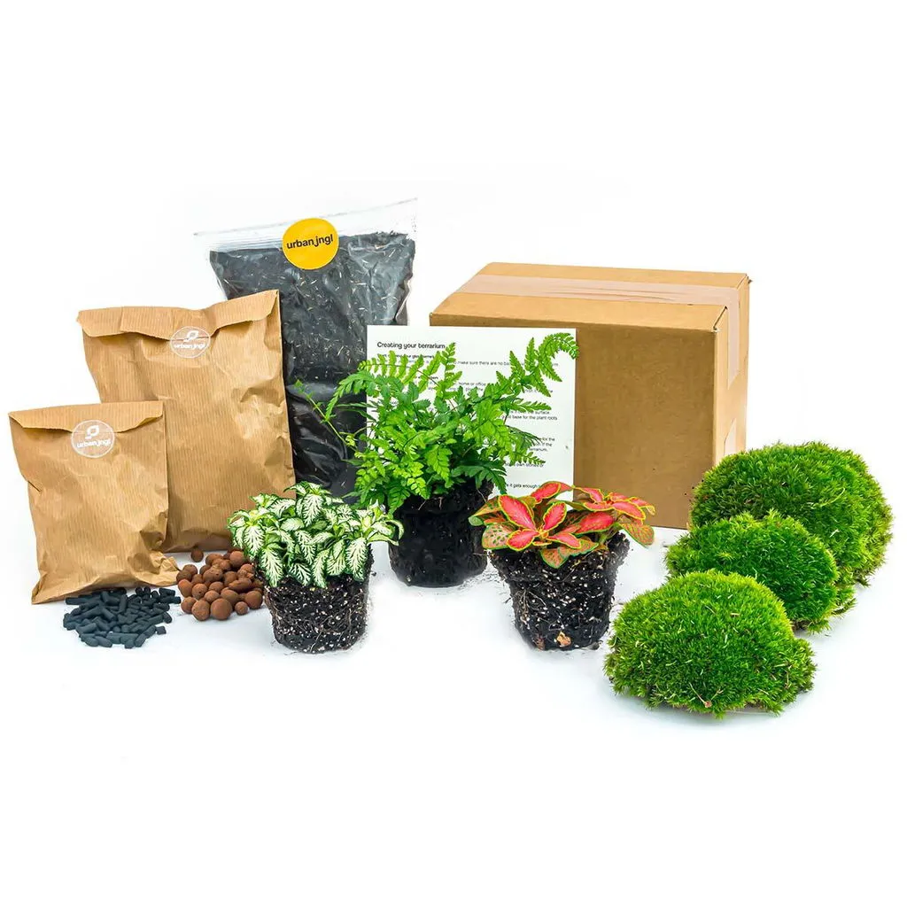 Urbanjungl Varen terrarium navulset L/XL 3 planten