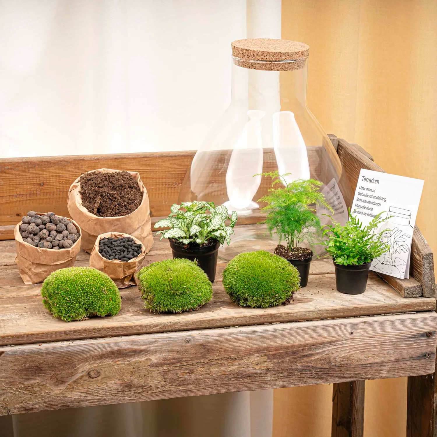 Urbanjungl Sam XL plantenterrarium DIY kit met licht 30 cm