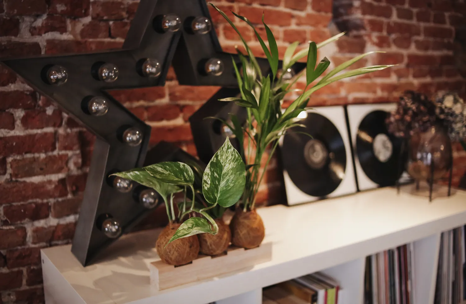 House of Koko Philly Kokedama zonder schaaltje rankend